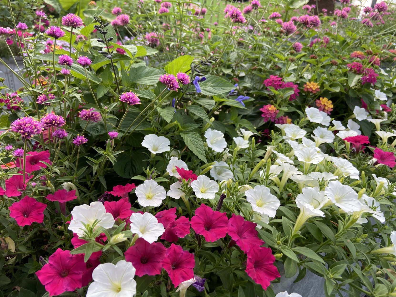 LIFE-HOME-ONGARDENING-1-MCT